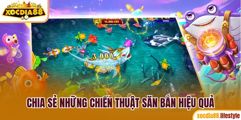 Chia sẻ 4 chiến thuật hay giúp bạn săn bắn hiệu quả